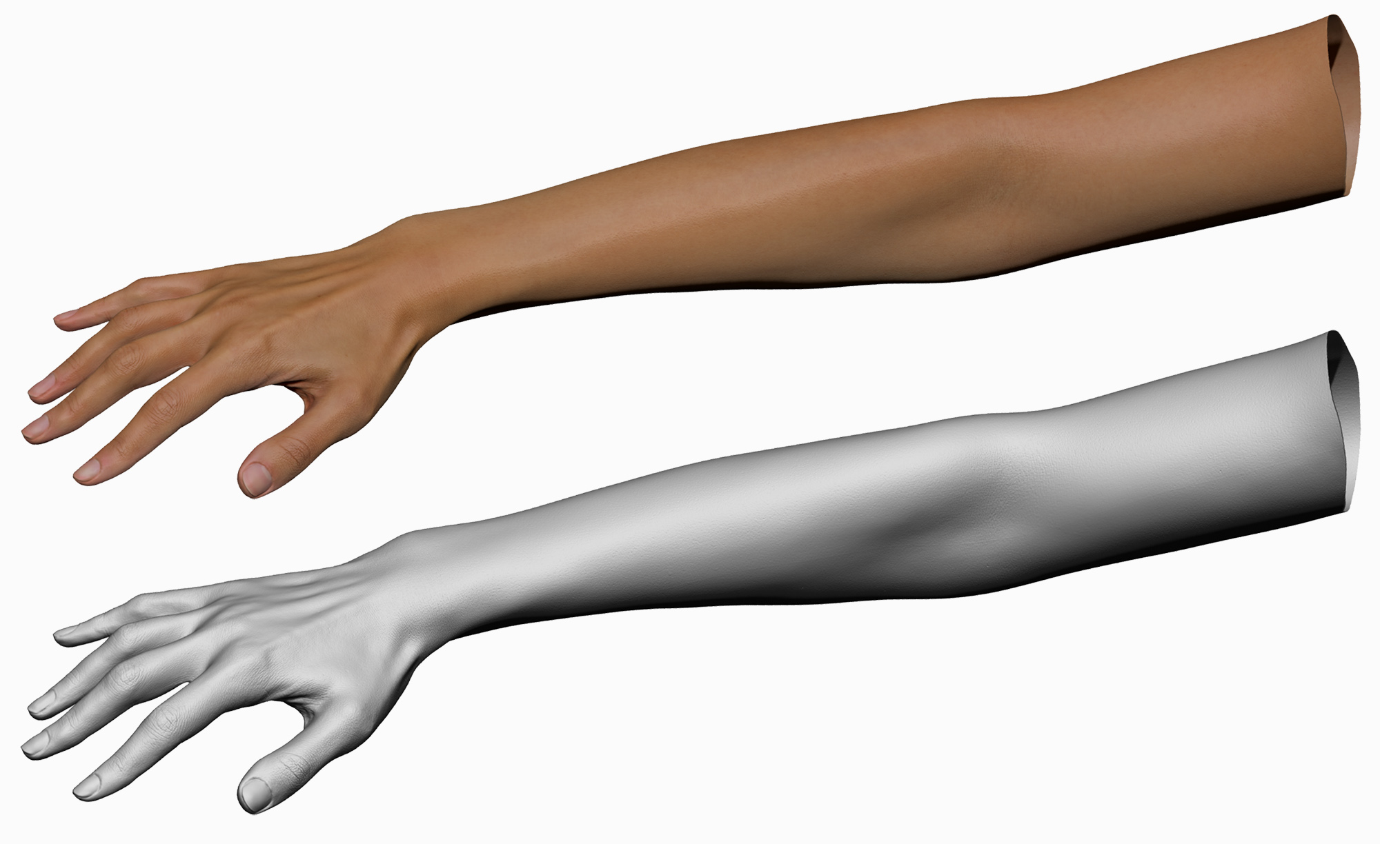 Asian Female 3d hand model arm hand scan 20 years old