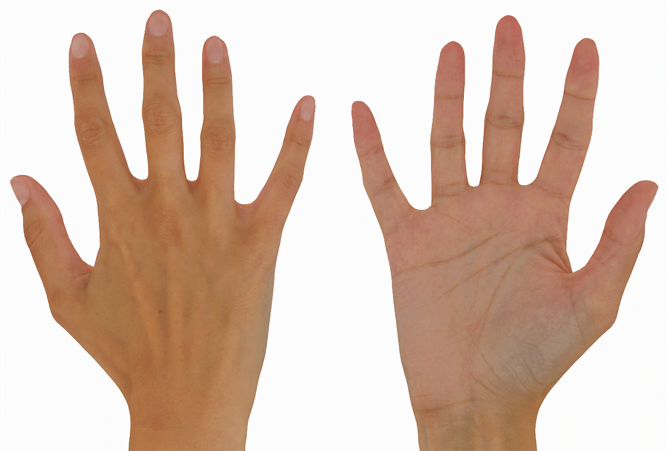 3D Hand Textures UV