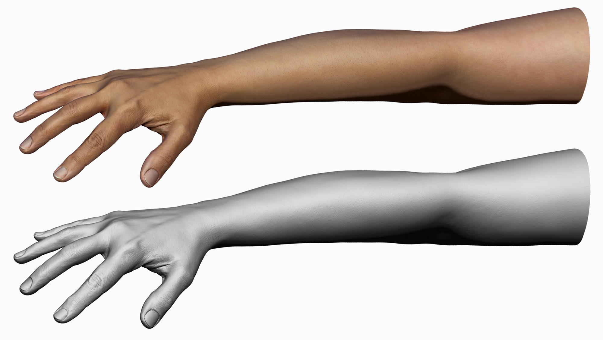 Forty Year old asian female scanned from bicep to fingertip model in 3d