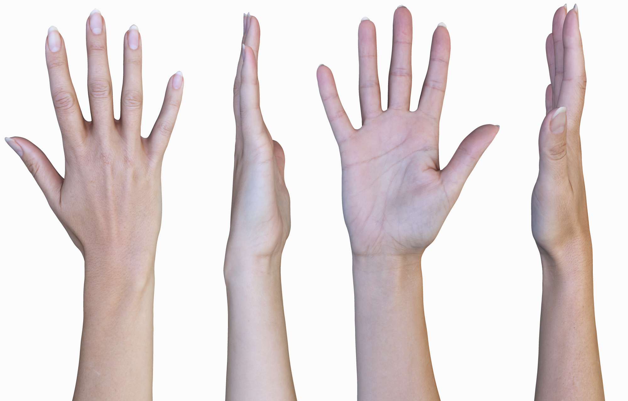 3D Hand Model Female