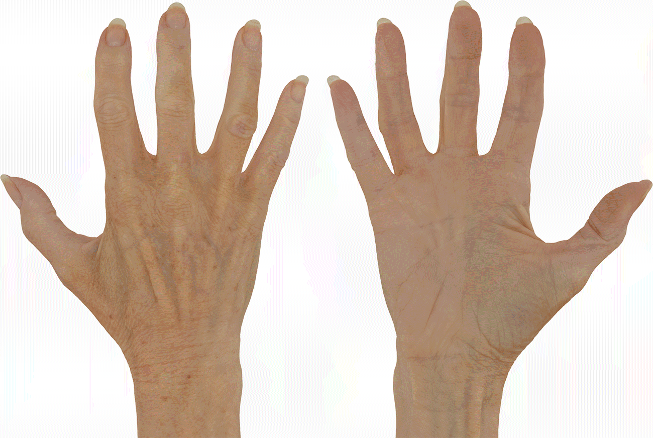 3D Texture mapped Hands