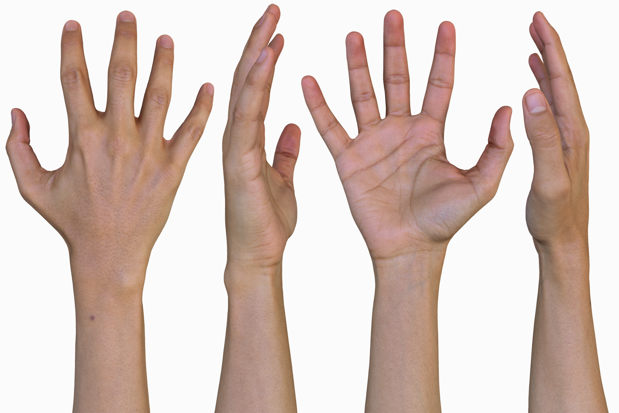 Male 3D Hands