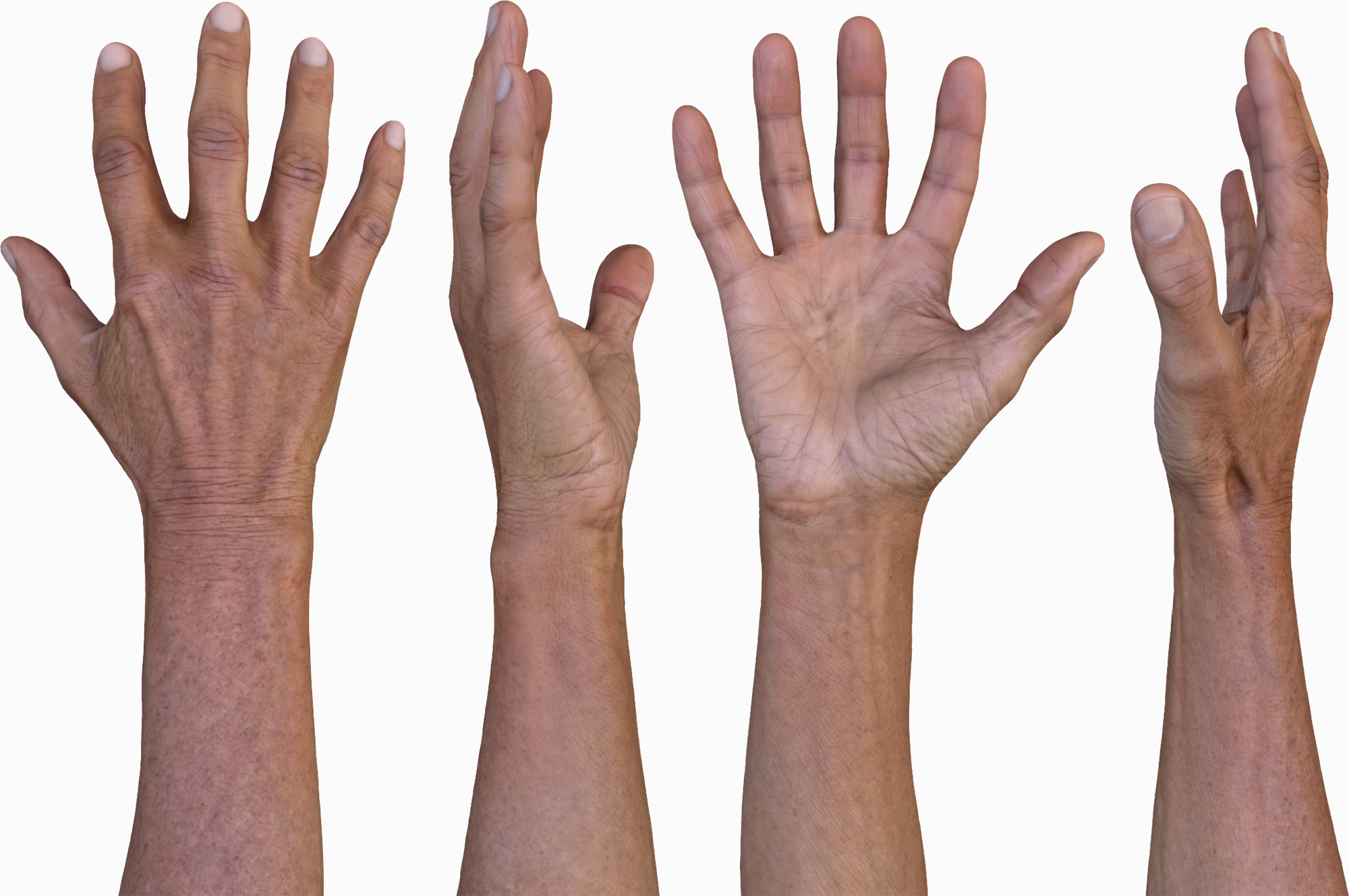 3D Male Hands Model