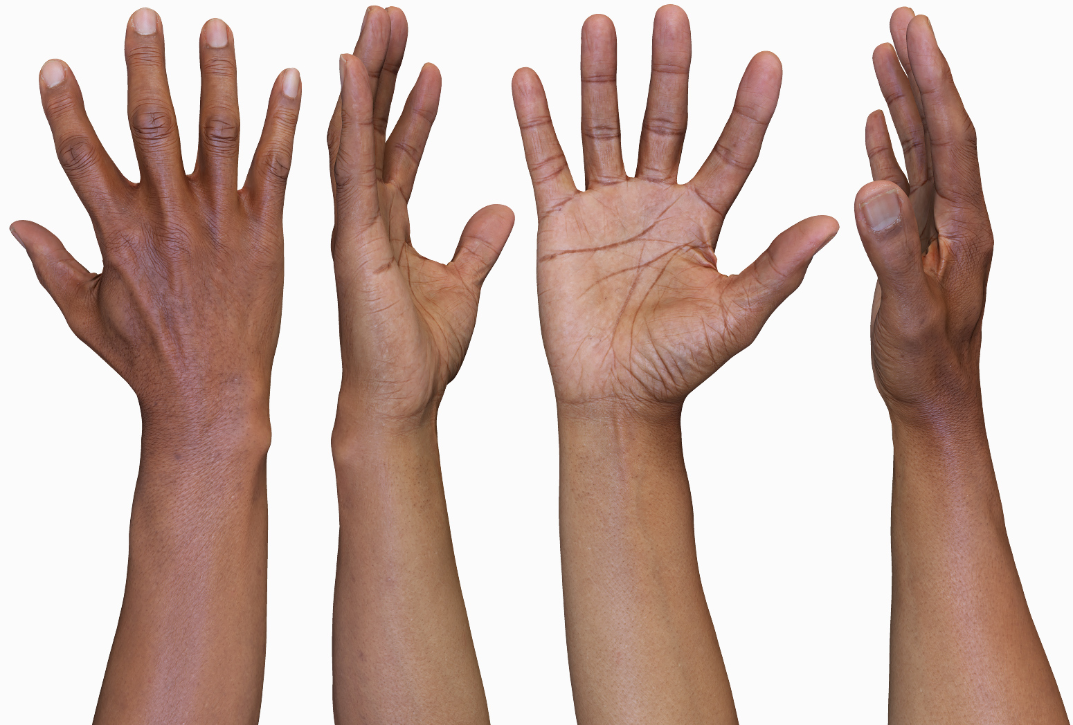 3D Male Hands Model 