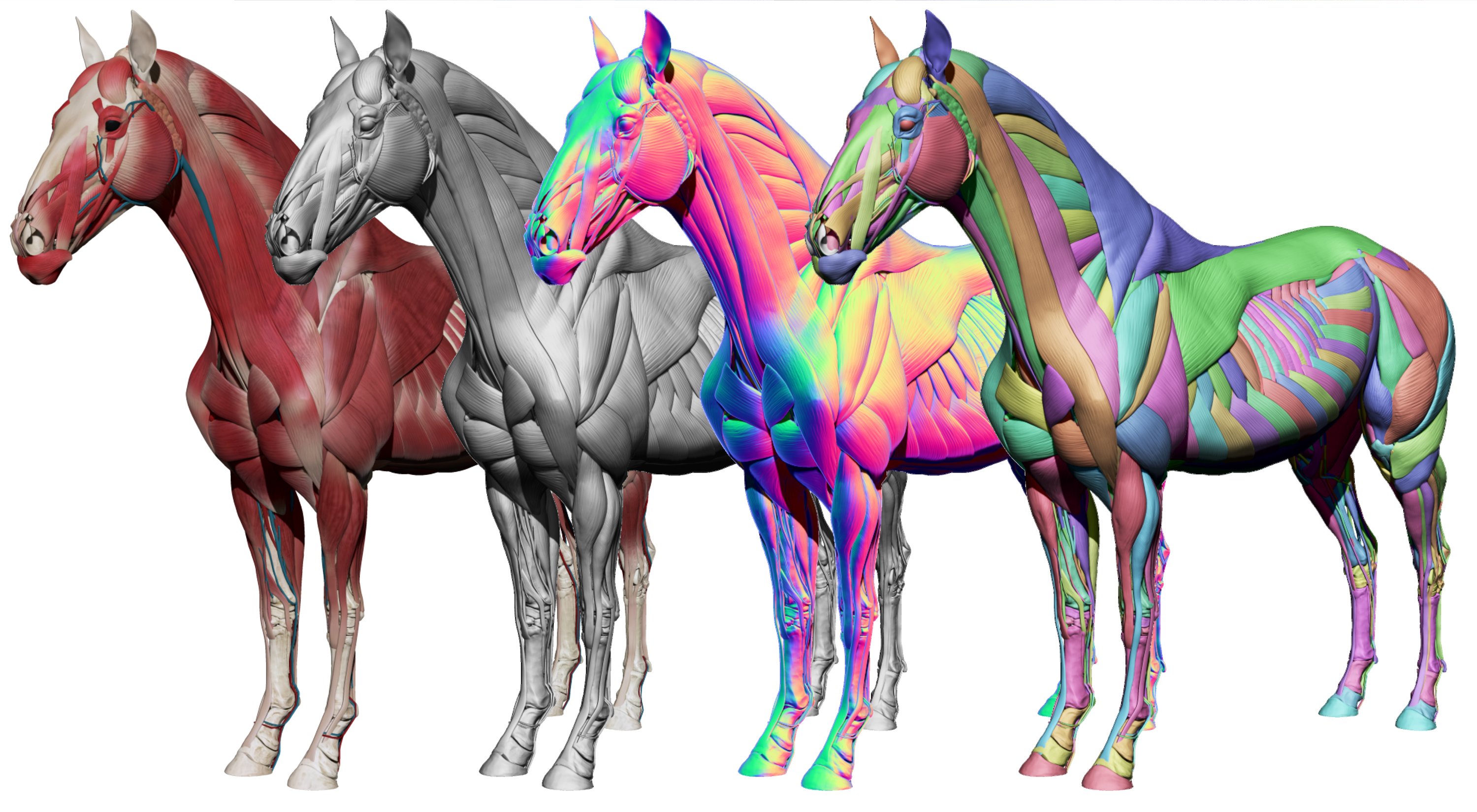 Car Engine 3D Model – 3D Horse