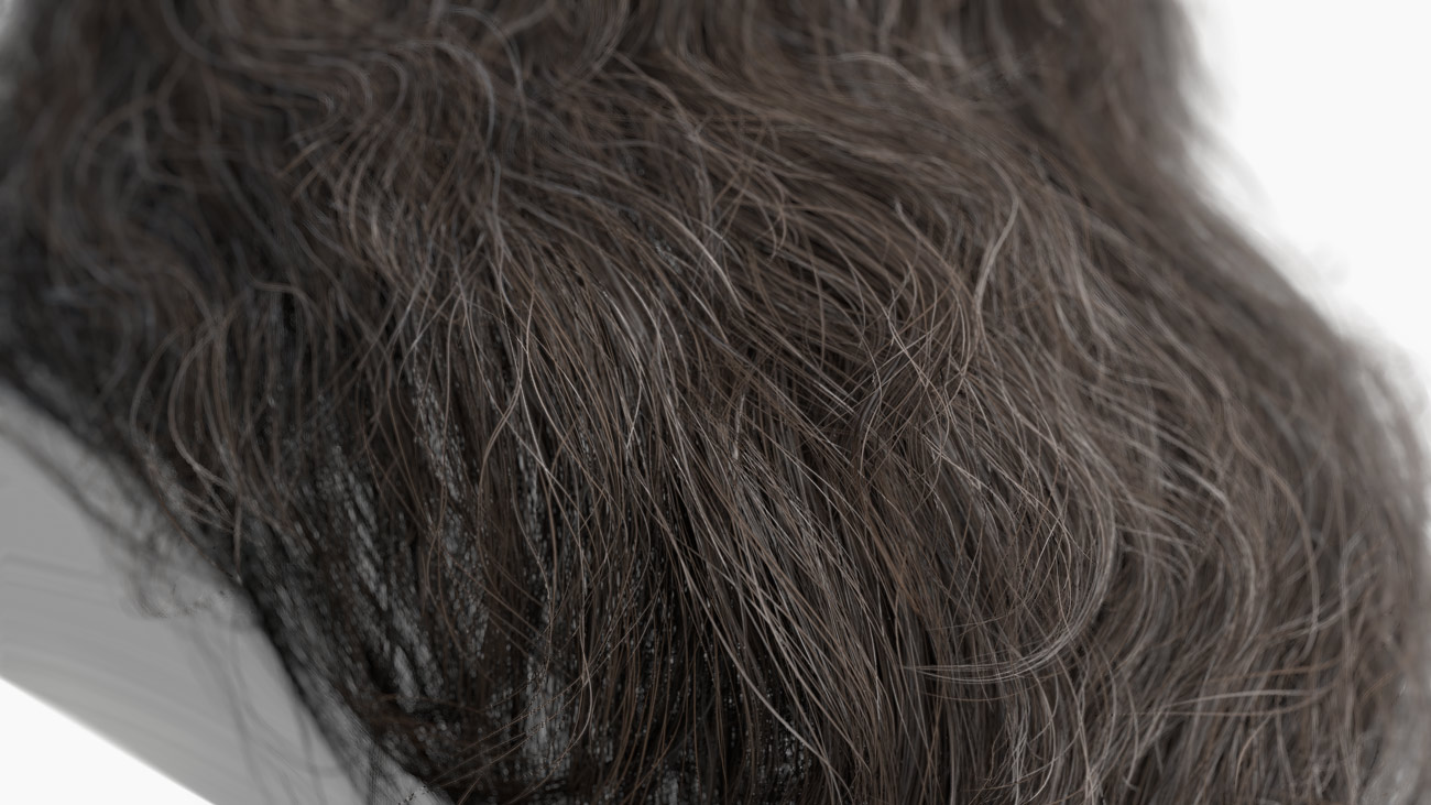 download polycard for beards and hair 