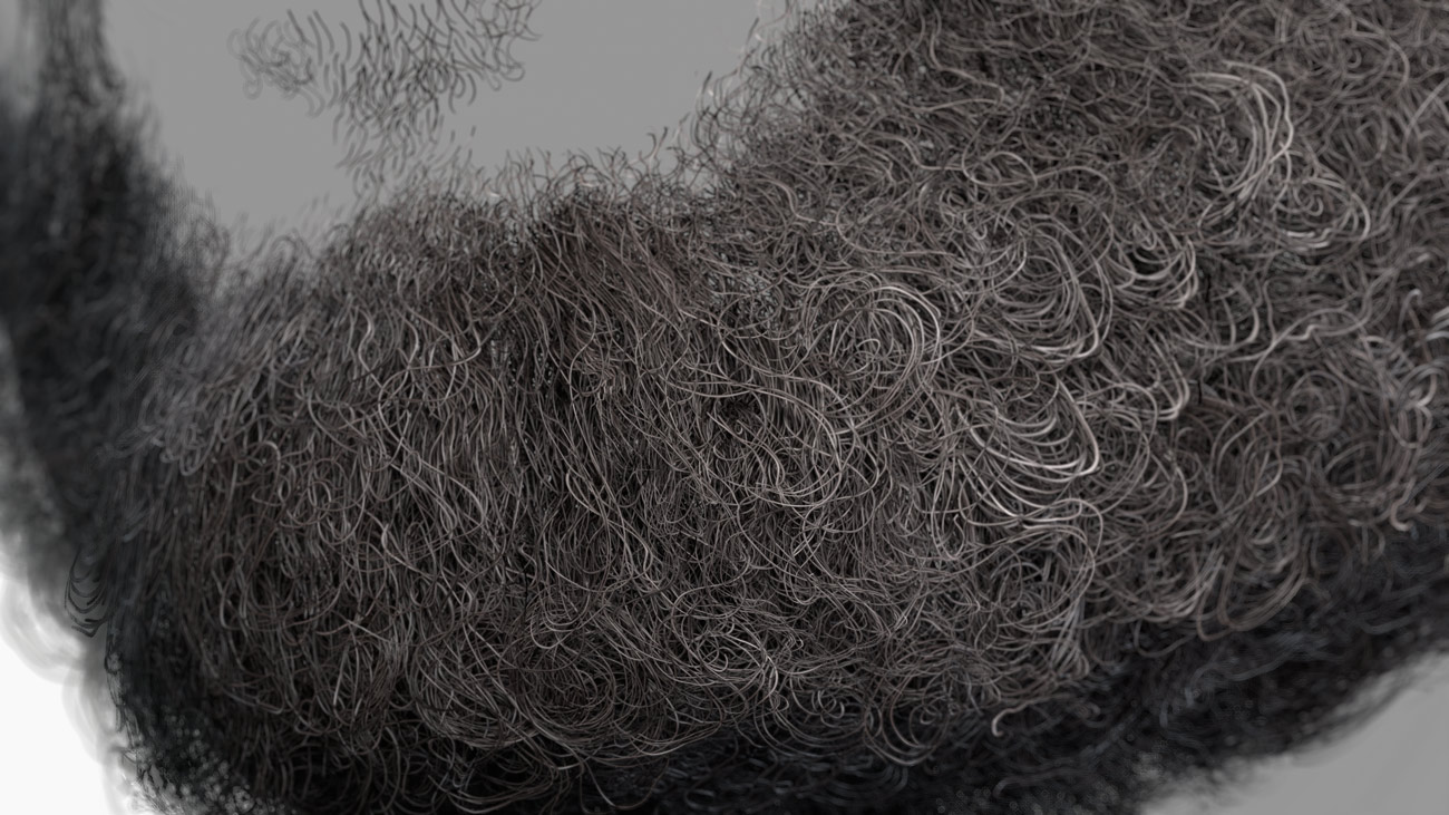download polycard for beards and hair 