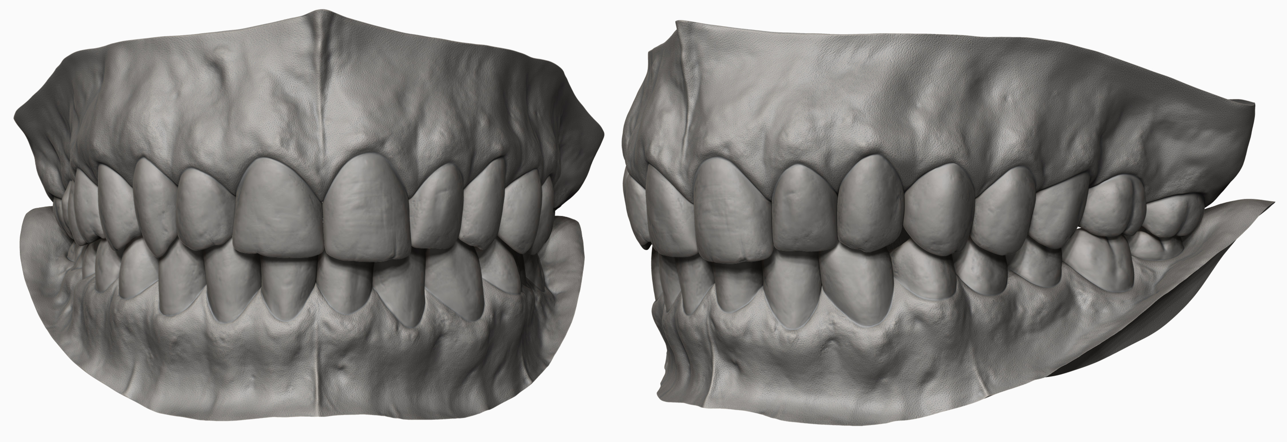 Realistic 3D Clean Straight Teeth Model Includes Blender, Marmoset