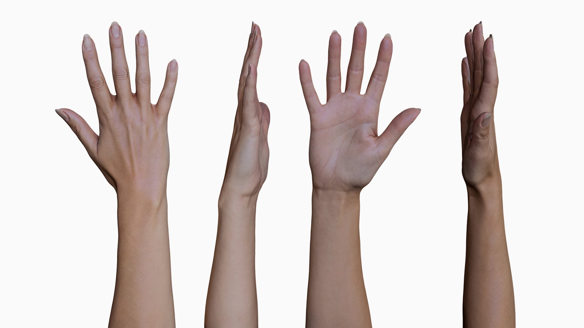 Female Hand